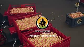 Bioethanol production process from cashew nuts 3D explainer video