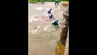 wow super Fisherman skills catch fish in the river Natural fishing videos @phfish