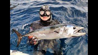 Pesca submarina al agujero termina con una sierra a la espera. #pescasubmarina #pescasub #pesca