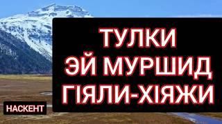 ТУЛКИ-ЭЙ МУРШИД ГIЯЛИ-ХIЯЖИ