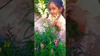 snapdragon #gardening #explore #shorts