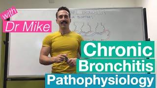 Chronic Bronchitis | Respiratory System