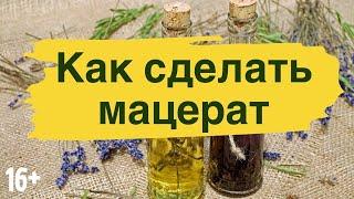 Как сделать мацерат - масляный экстракт растений. Мацерат маргаритки - традиционный рецепт.