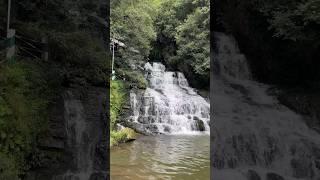 Elephant falls #shorts #elephantfalls #mrchengdhang