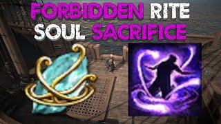 Forbidden Rite of Soul Sacrifice Seems Good on Paper but How to Sustain?