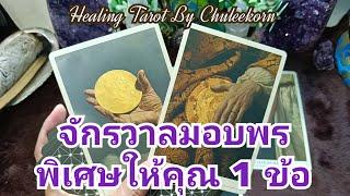 จักรวาลมอบพรพิเศษให้คุณ 1 ข้อ#ไพ่ทาโรต์ #ไพ่ยิปซี #ดูดวงไพ่ยิปซี #ดูดวงไพ่ทาโรต์