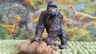 Mountain Gorilla VS Baboon