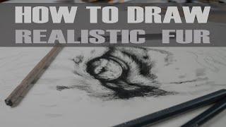 How to draw a Tiger Face - part 3 fur