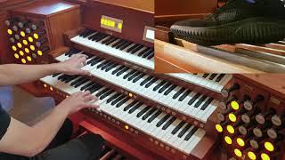 Sabaton: Livgardet/ The Royal Guard (Organ)