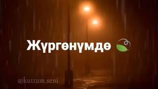 түшүнчү жүрөктө сүйүү кайгы