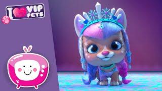 ️ TALENTO sobre HIELO ️ VIP PETS  NUEVO Episodio  DIBUJOS ANIMADOS para NIÑOS en ESPAÑOL