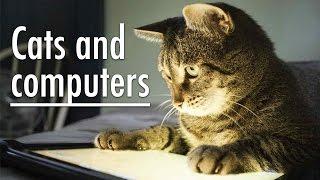 Cats and computers 2016. The best compilation cats with a computer 2016 #2