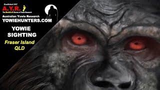 Yowie / Bigfoot Sightings (Audio Report #188) at Fraser Island, Queensland