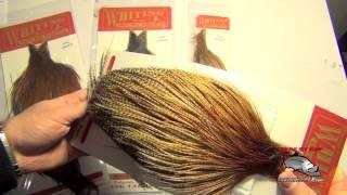 Whiting Rooster "R" Capes Dry Fly Tying Feathers