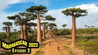 11 Hour drive to Morondava - Episode 2 #Madagascar Adventures