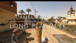 4K POV Virtual Camel ride. Long play, in HD