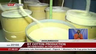 Farmers' earnings double as production of BT Cotton rises