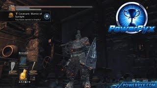 Dark Souls 3 - Covenant: Warrior of Sunlight Location