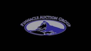 Welcome to Dallas Auction Facebook - Pinnacle Auction Group