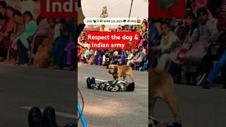 Dog ne ki ghayal soldier ki madad #army #indianarmy #armydog #shorts #viral