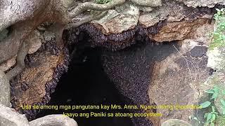 Monfort Bat Cave Documentary | Samal Island