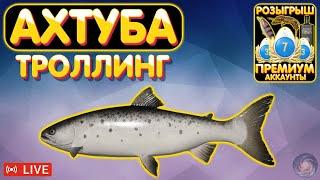 Ахтуба - троллинг  ПРЕМ и ЗОЛОТО в боксе Trovo  Русская Рыбалка 4  Турниры рр4 стрим #1190