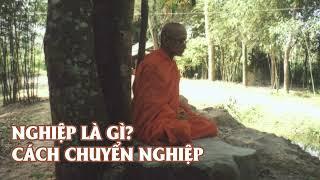 Nghiệp là gì? Cách chuyển nghiệp- Trưởng lão Thích Thông Lạc trực tiếp giảng dạy