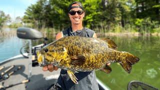 MEGA Smallmouth Bass Fishing In SUPER CLEAR Water! (Insane Day)