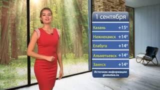 Прогноз погоды 01.09.2016