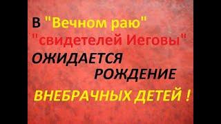 О рождении внебрачных детей в "вечном раю" "свидетелей Иеговы". "Перевод нового мира" открывает ....