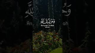 Ayat e Quran#Deene e islam#quotes