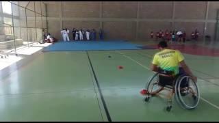 Marcelo Alves / Parabadminton