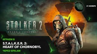 S.T.A.L.K.E.R. 2: Heart of Chornobyl. Играем через GFN.AM | GeForce NOW Армения