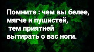 Выражения на Мотивацию Цитаты и Афоризмы Мудрых и известных людей