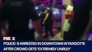 Several arrested after fights break out in Wyandotte