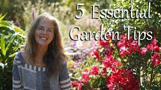 June's 5 Essential Garden Tips - plus Fionuala's 5 top faves in her own June garden!  #gardentips