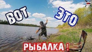 МАЙСКИЙ ГОЛАВЛЬ! ВЕСЕННЯЯ РЫБАЛКА НА ОКЕ! Ловля на фидер