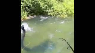 fishing amazing best fishing compilation video Baliq ovi рыбалка Baliq ovi рыбалка