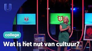 Wat is het nut van cultuur?