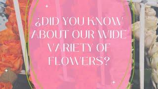 THE DIVERSITY OF FLOWERS 
