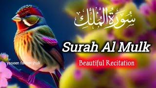 Surah mulk | surat mulk | সূরা মুলক |  سورة الملك | сура Мульк | @Fakirerjhuli