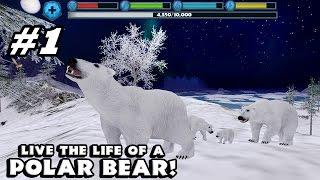 Polar Bear Simulator By Gluten Free Games - Android & iOS - Gameplay Part 1