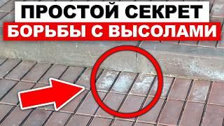 ИЗБАВЬСЯ от ВЫСОЛОВ навсегда! / Как убрать высолы с бетонного блока?