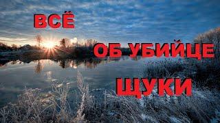 Гости с СЕВЕРА рассказали, ВСЕ ОБ "УБИЙЦЕ" ЩУКИ! SeMano TV