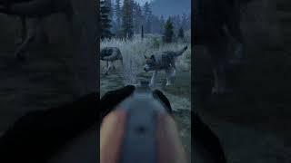  A pack of wolves vs a BK-18 #DayZ