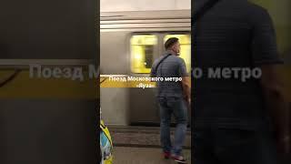 Поезд Московского метро «Яуза»