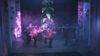 lincoln theatre royal COD panto 09/10 thriller