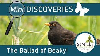 The Ballad of Beaky Blackbird