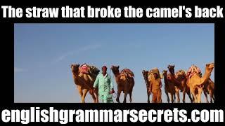 The straw that broke the camel's back -Business English Phrases