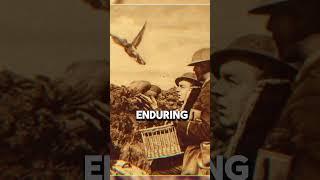 The Lost Battalion's Heroic Stand